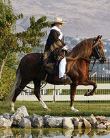 HdN Coqueton